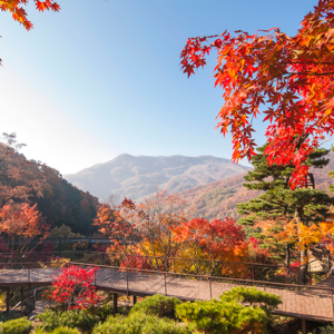 경기광주 가족여행 코스 추천: 화담숲, 남한산성 등