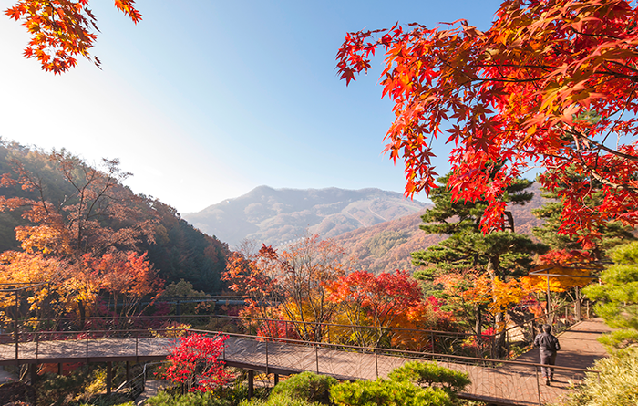 경기광주 가족여행 코스 추천: 화담숲, 남한산성 등